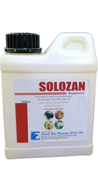 Solozan Suspension 1000ml