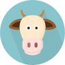 cow (3)